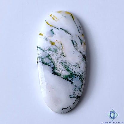 Tree Agate