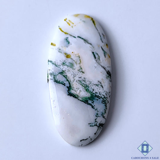 Tree Agate