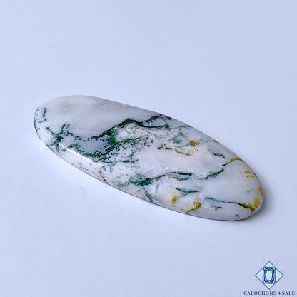 Tree Agate