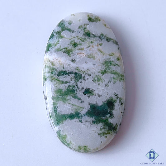 Tree Agate