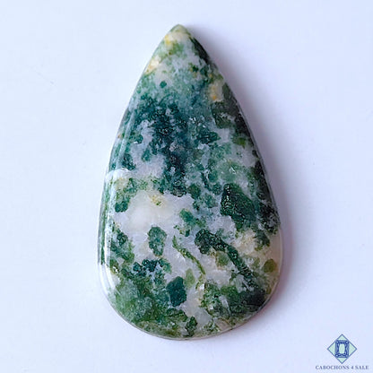 Tree Agate