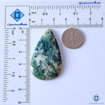 0-Tree_Agate-C4sw23042-2-Pear-Green-mm-Cabochons-Opaque-0
