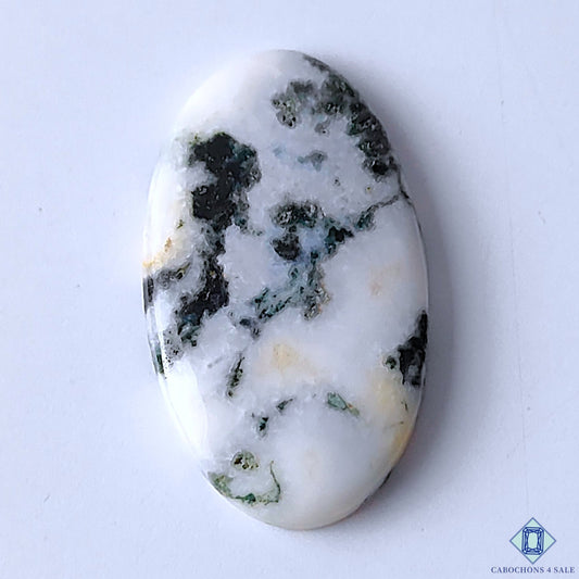 Tree Agate