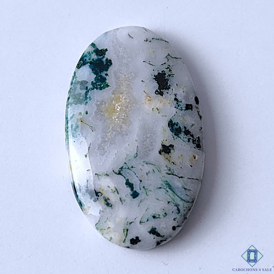Tree Agate