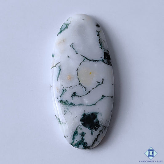 Tree Agate