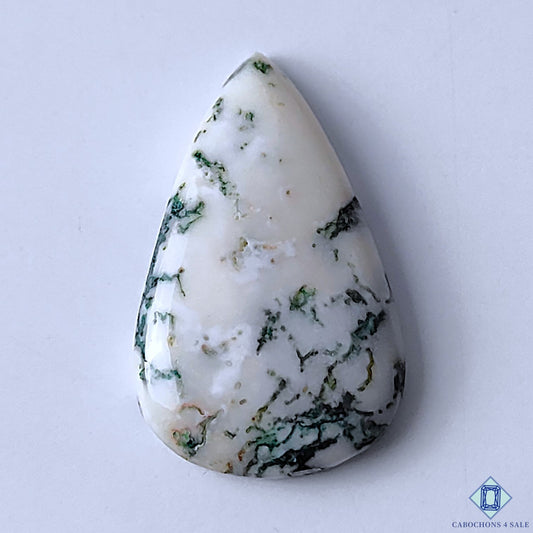 Tree Agate