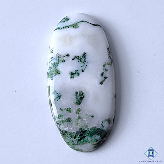 Tree Agate