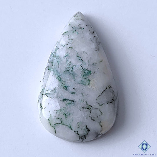 Tree Agate