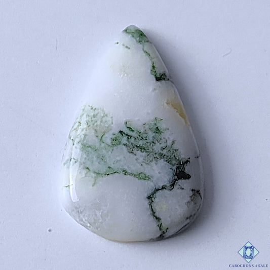 Tree Agate
