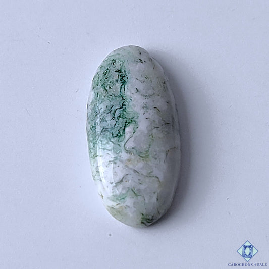 Tree Agate