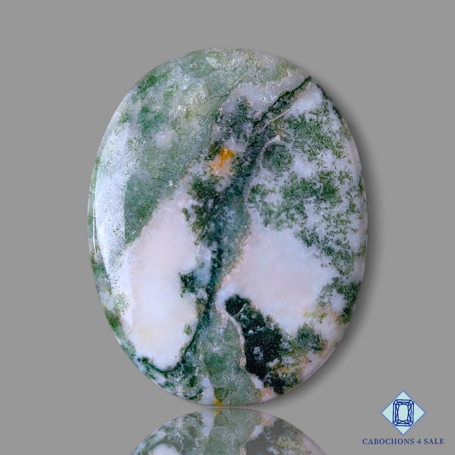 Tree Agate