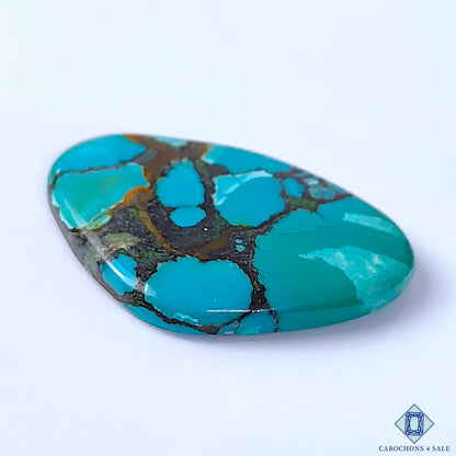 Turquoise