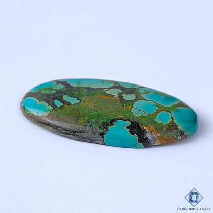 Turquoise