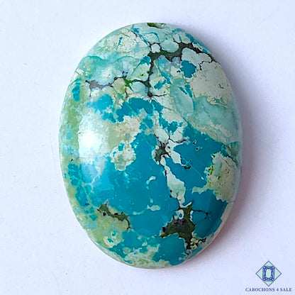 Turquoise