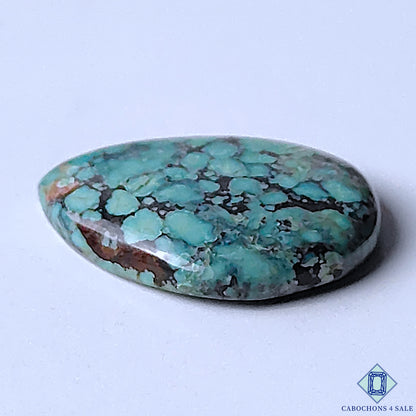 Turquoise