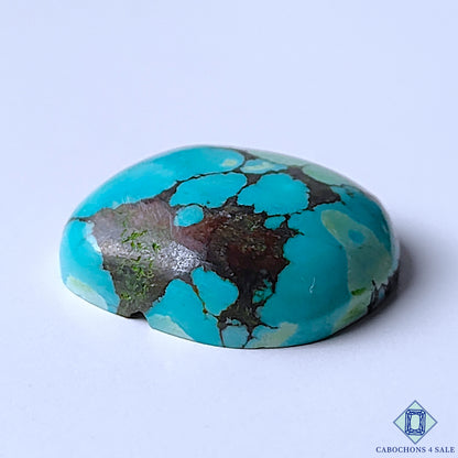 Turquoise