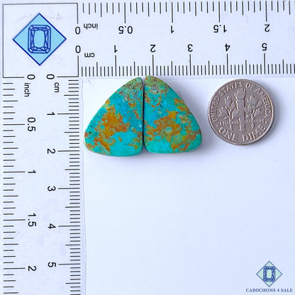 Turquoise