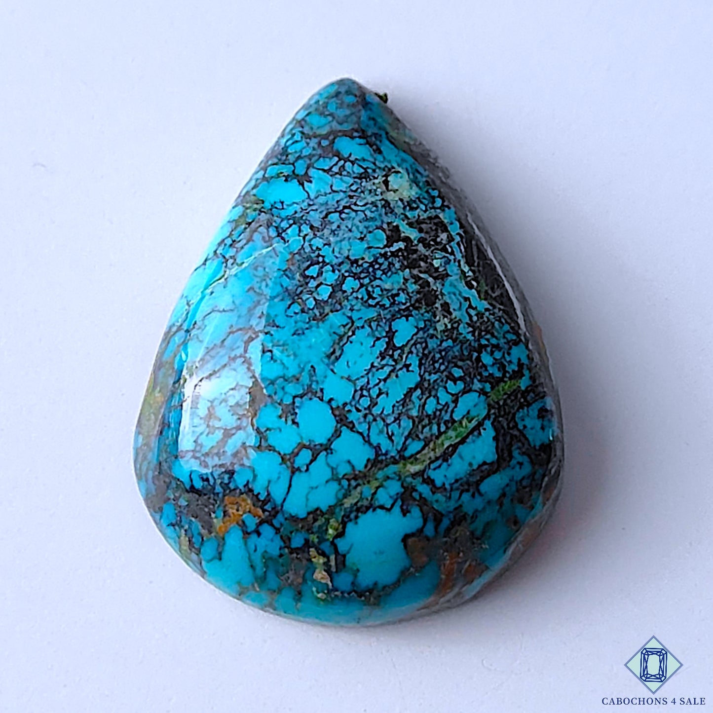 Turquoise