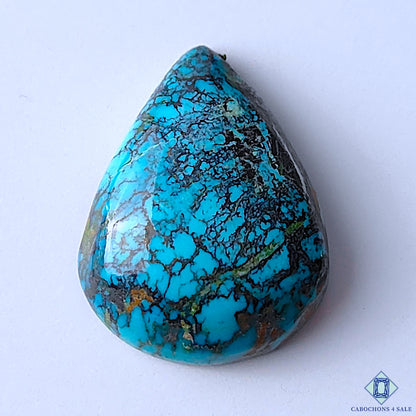 Turquoise