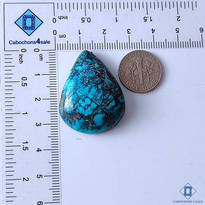 Turquoise