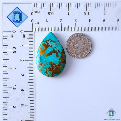 Turquoise