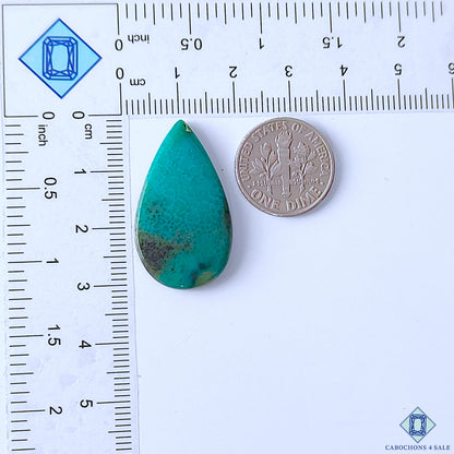 Turquoise