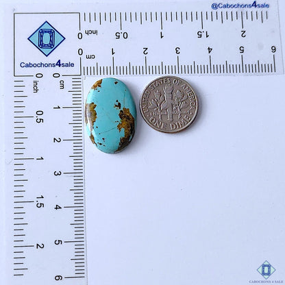 Turquoise