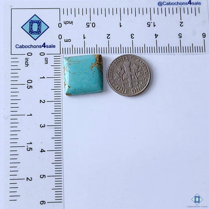 Turquoise
