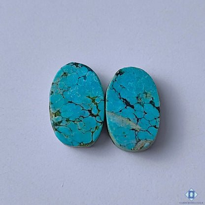Turquoise
