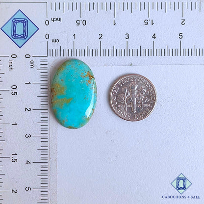 Natural Turquoise Gemstone  Oval Cabochons 26*17*3mm From USA available for sale