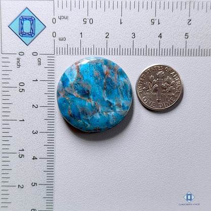 Turquoise Apatite Round Cabochons