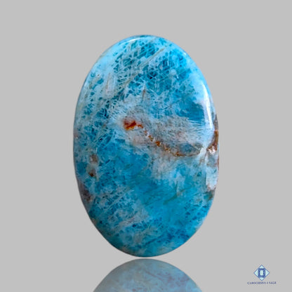 Turquoise Apatite