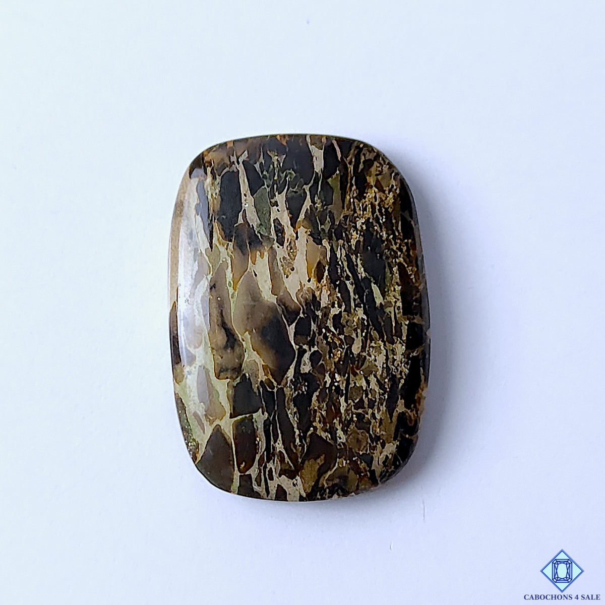 Turritella Agate