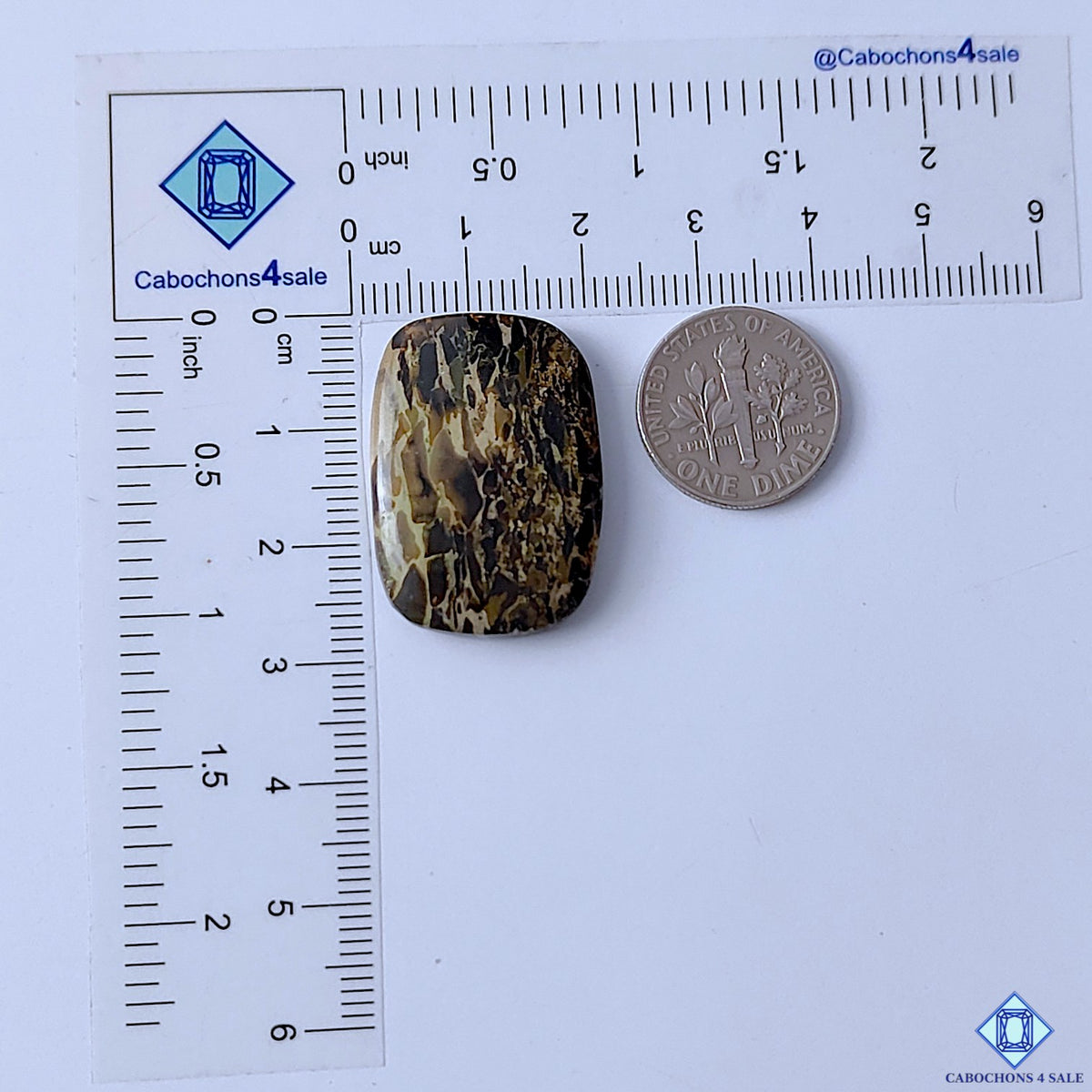 Turritella Agate