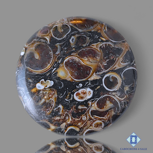 Turtella Agate Round Cabochons 29*7mm