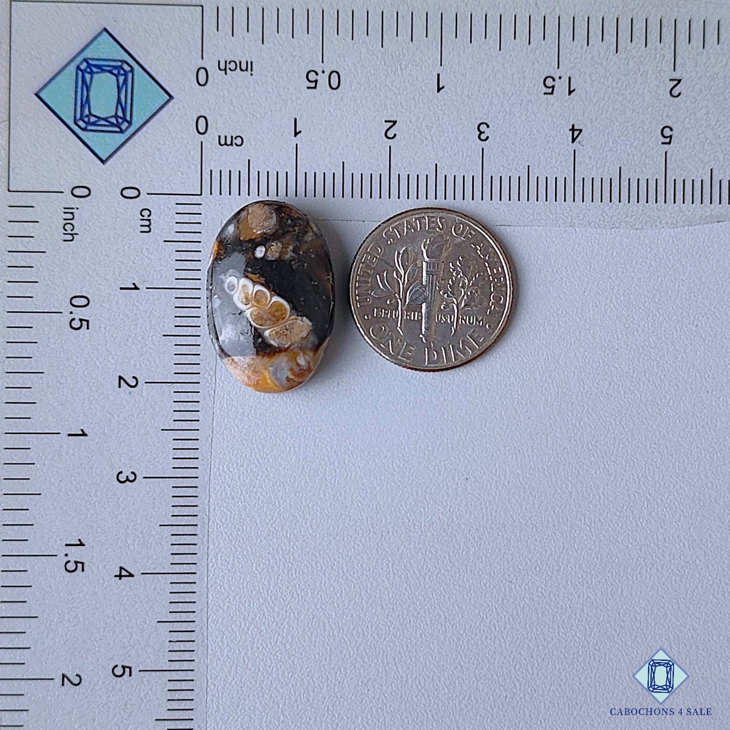 Turtella Agate