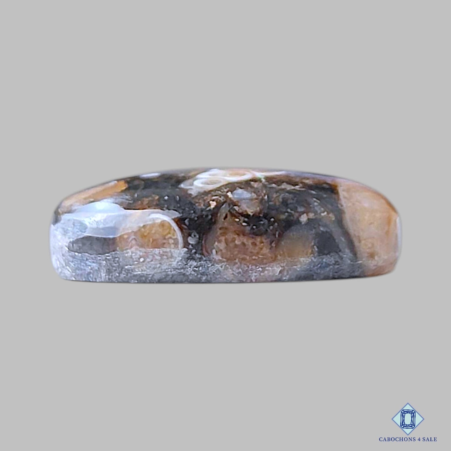 Turtella Agate