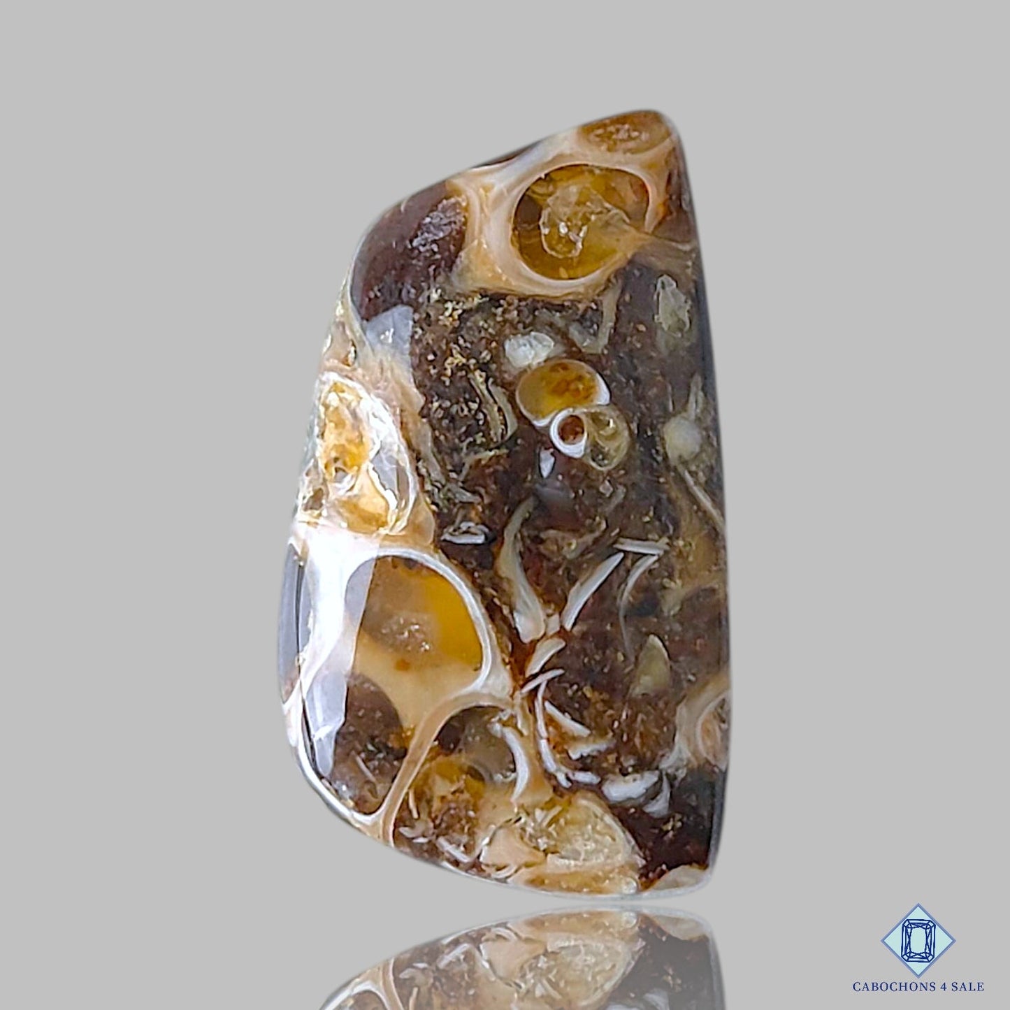 Turtella Agate