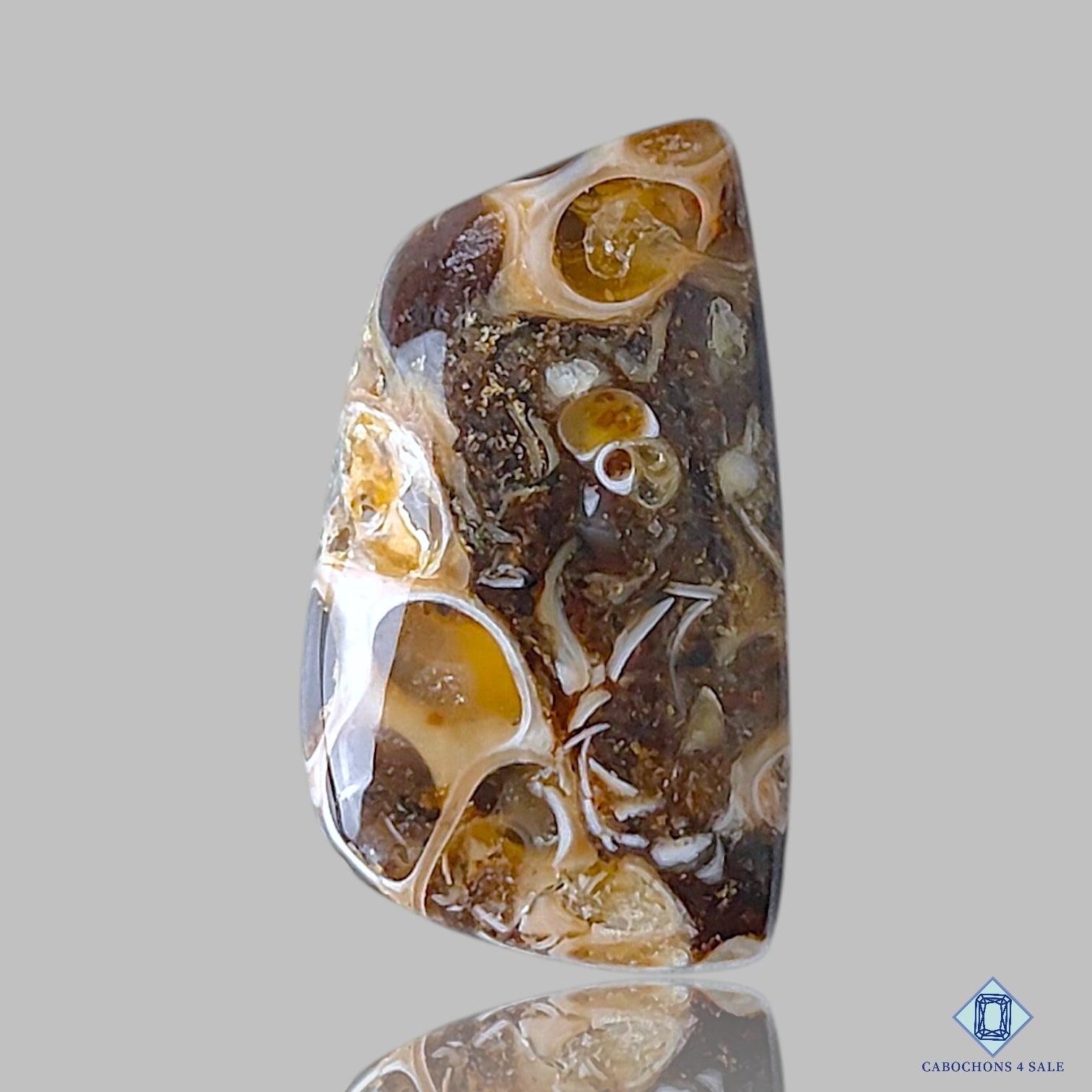 Turtella Agate