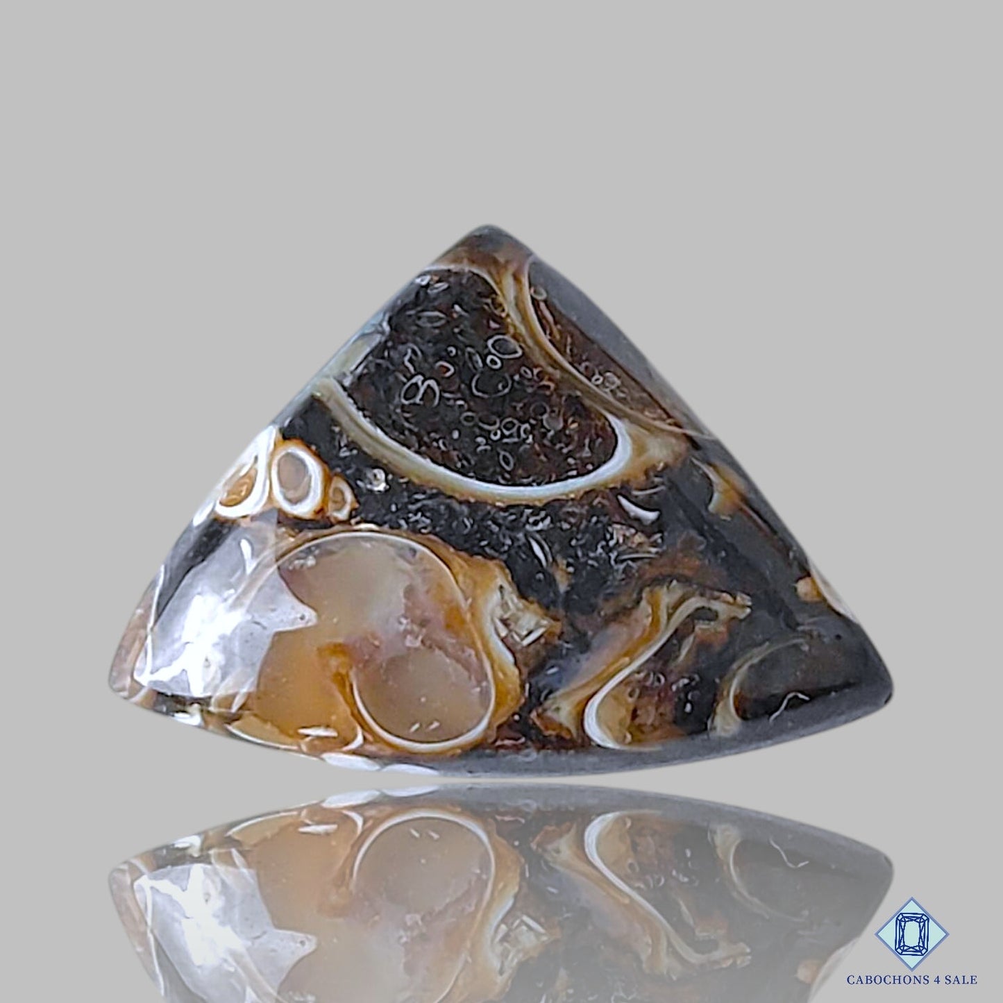 Turtella Agate