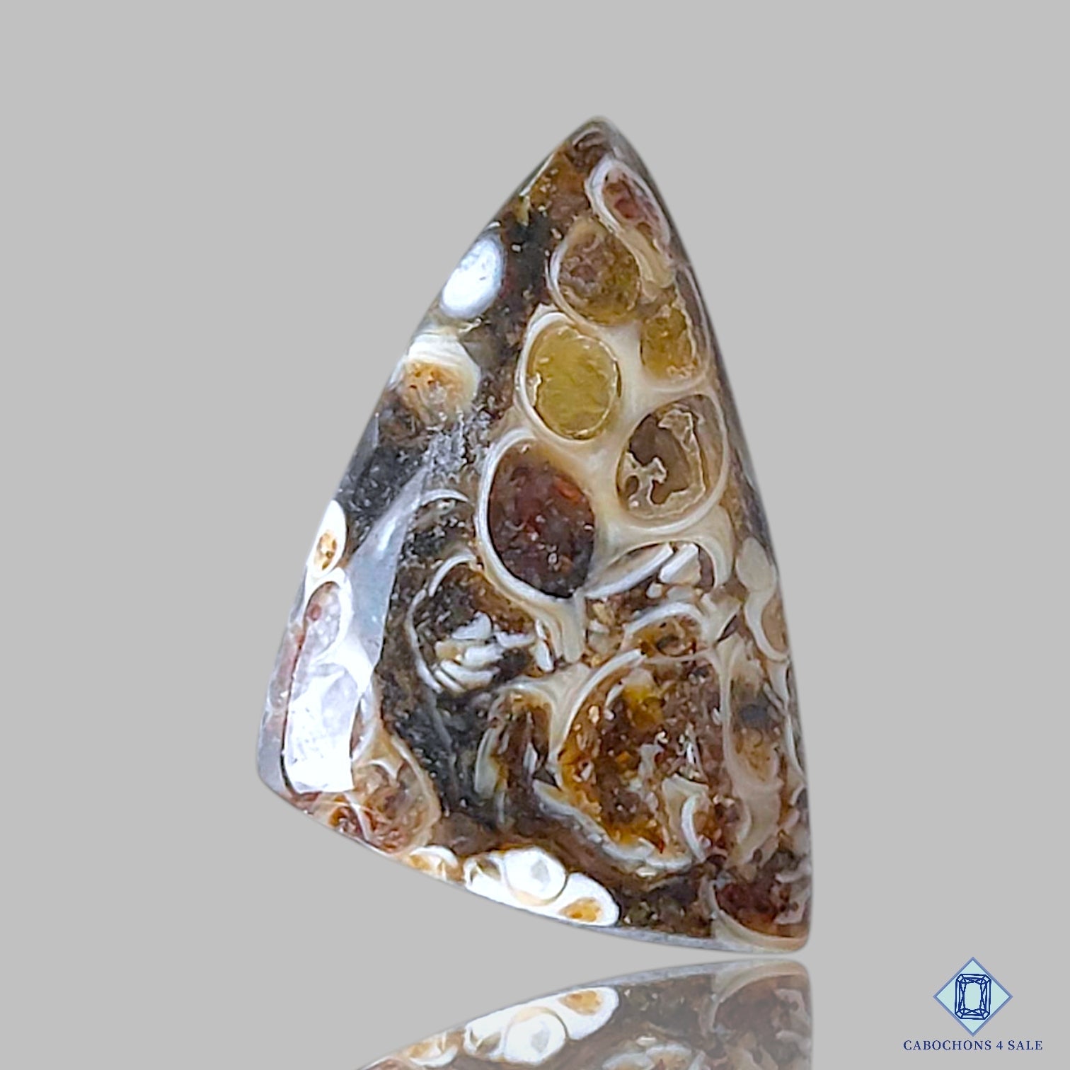 Turtella Agate