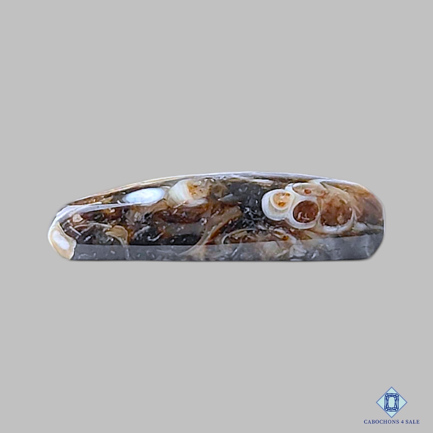 Turtella Agate