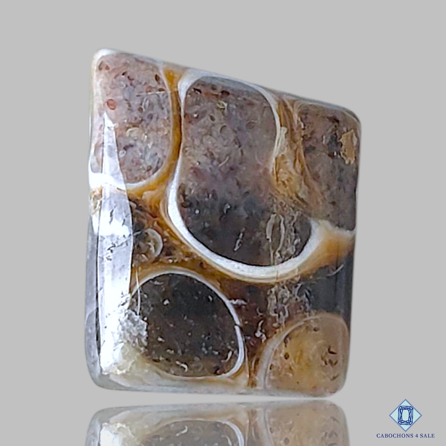 Turtella Agate