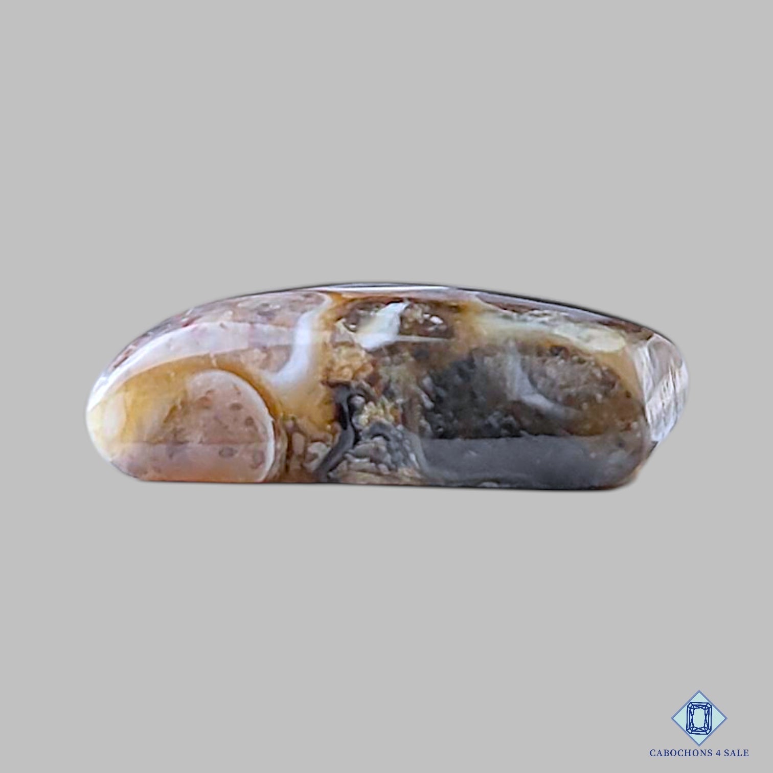 Turtella Agate