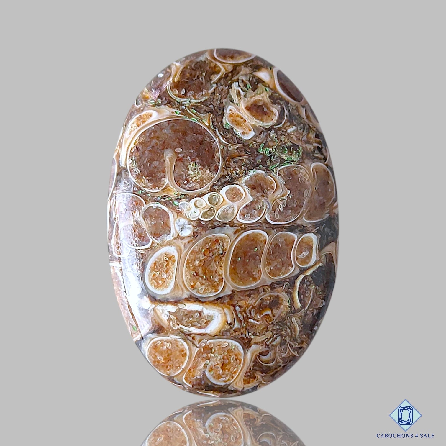 Turtella Agate