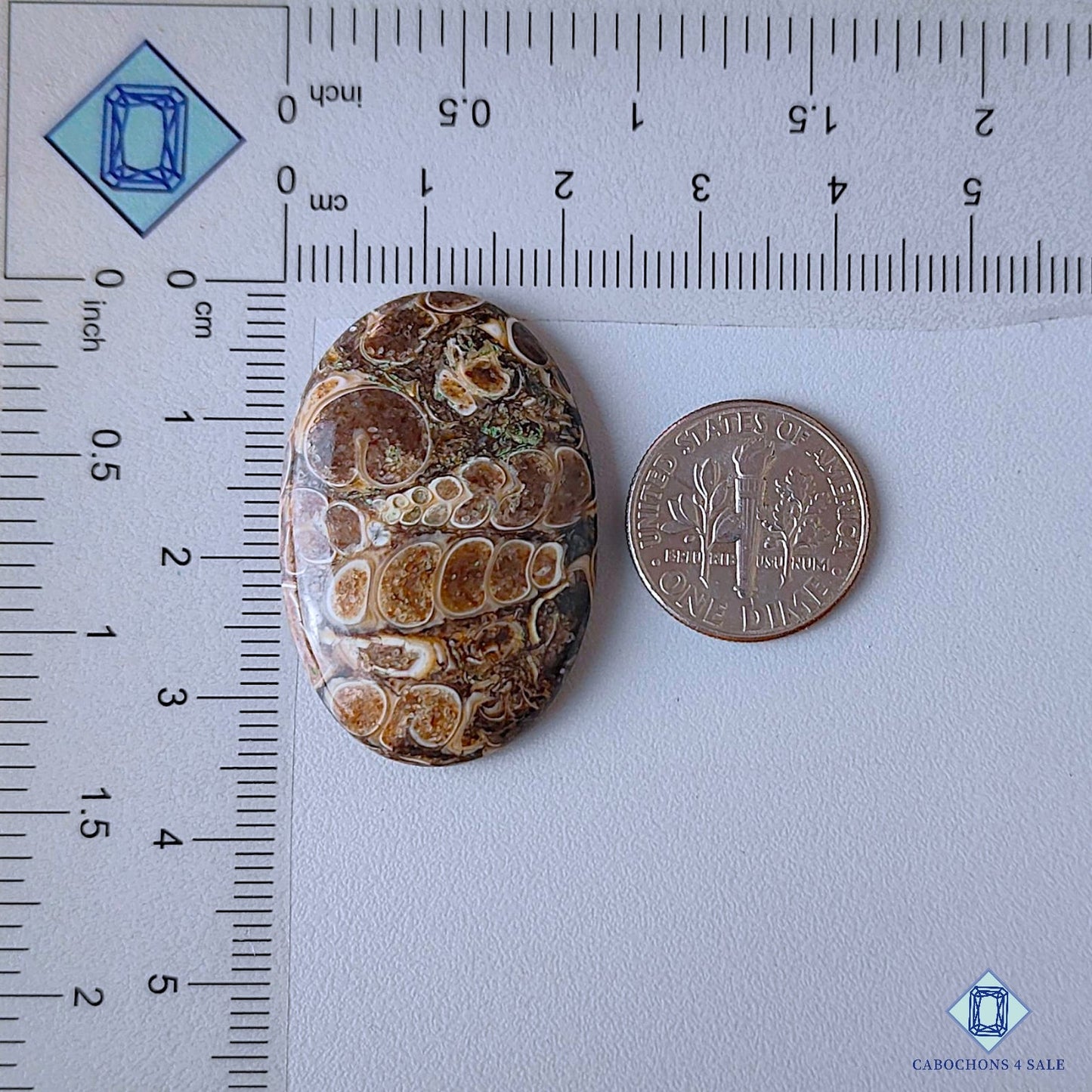 Turtella Agate