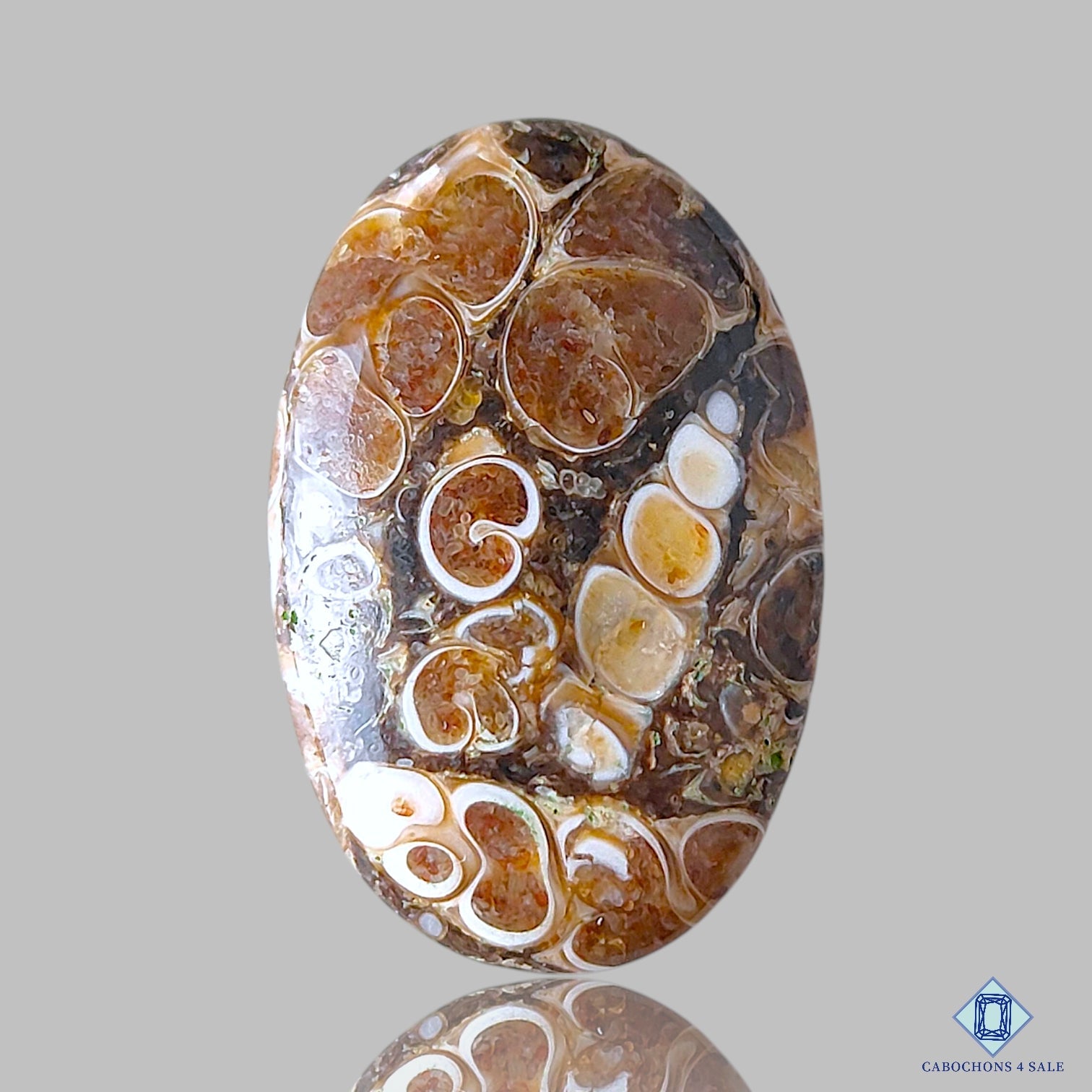 Turtella Agate
