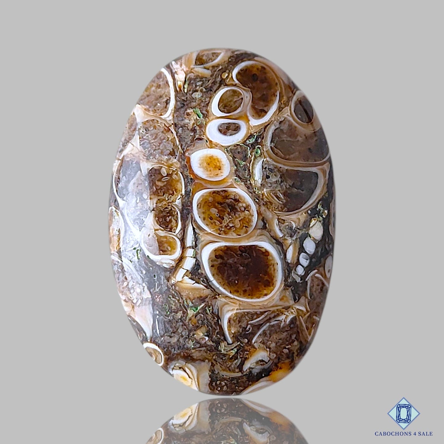 Turtella Agate