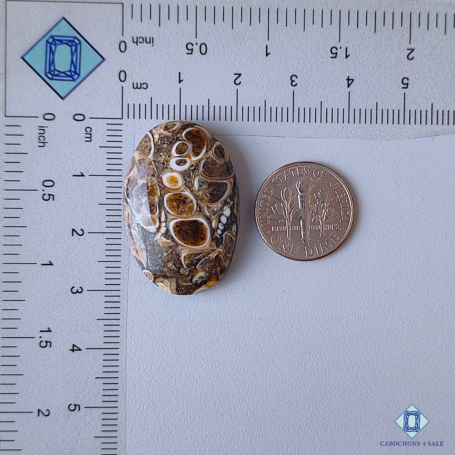 Turtella Agate