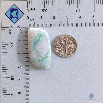 Variscite  Fancy Cabochons